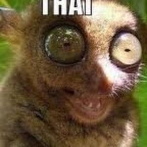 Meet your Posher, Tiana